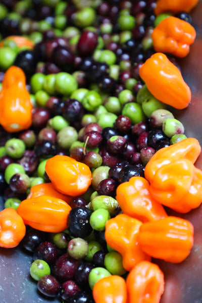 Habanero Olive Oil