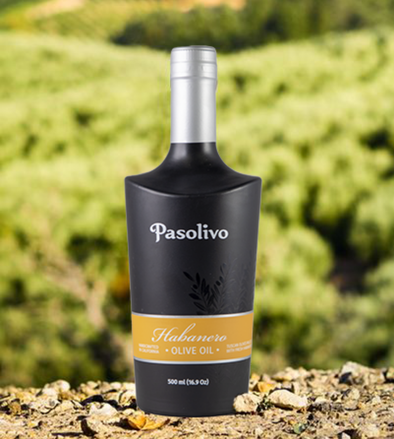 Habanero Olive Oil