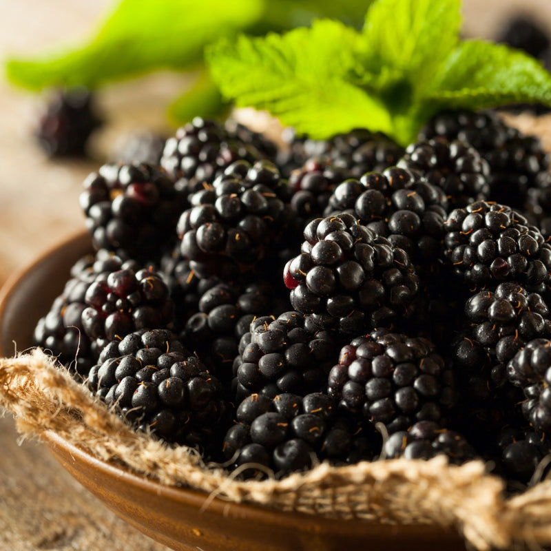 Pickled Blackberries