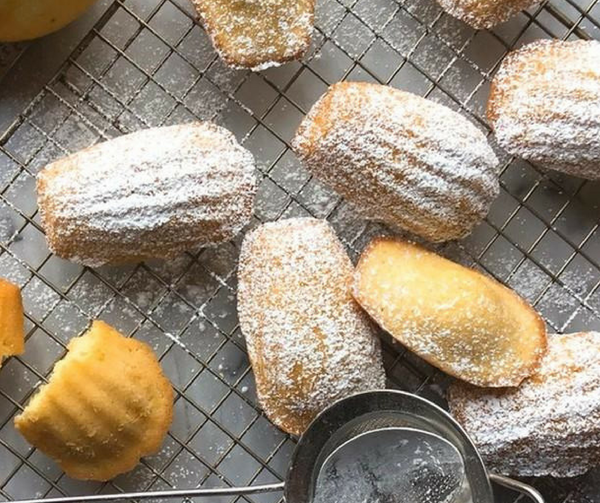 Lemon Olive Oil Madeleines