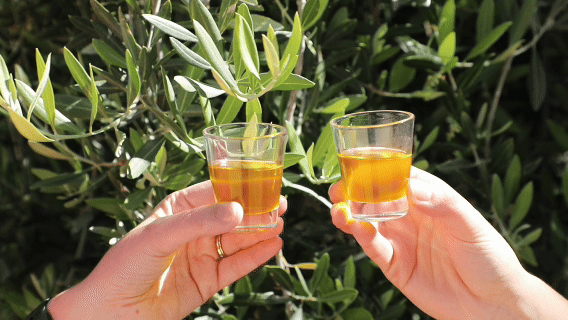 How to Add Olive Oil to Your Daily Wellness Routine