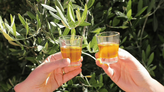 How to Add Olive Oil to Your Daily Wellness Routine