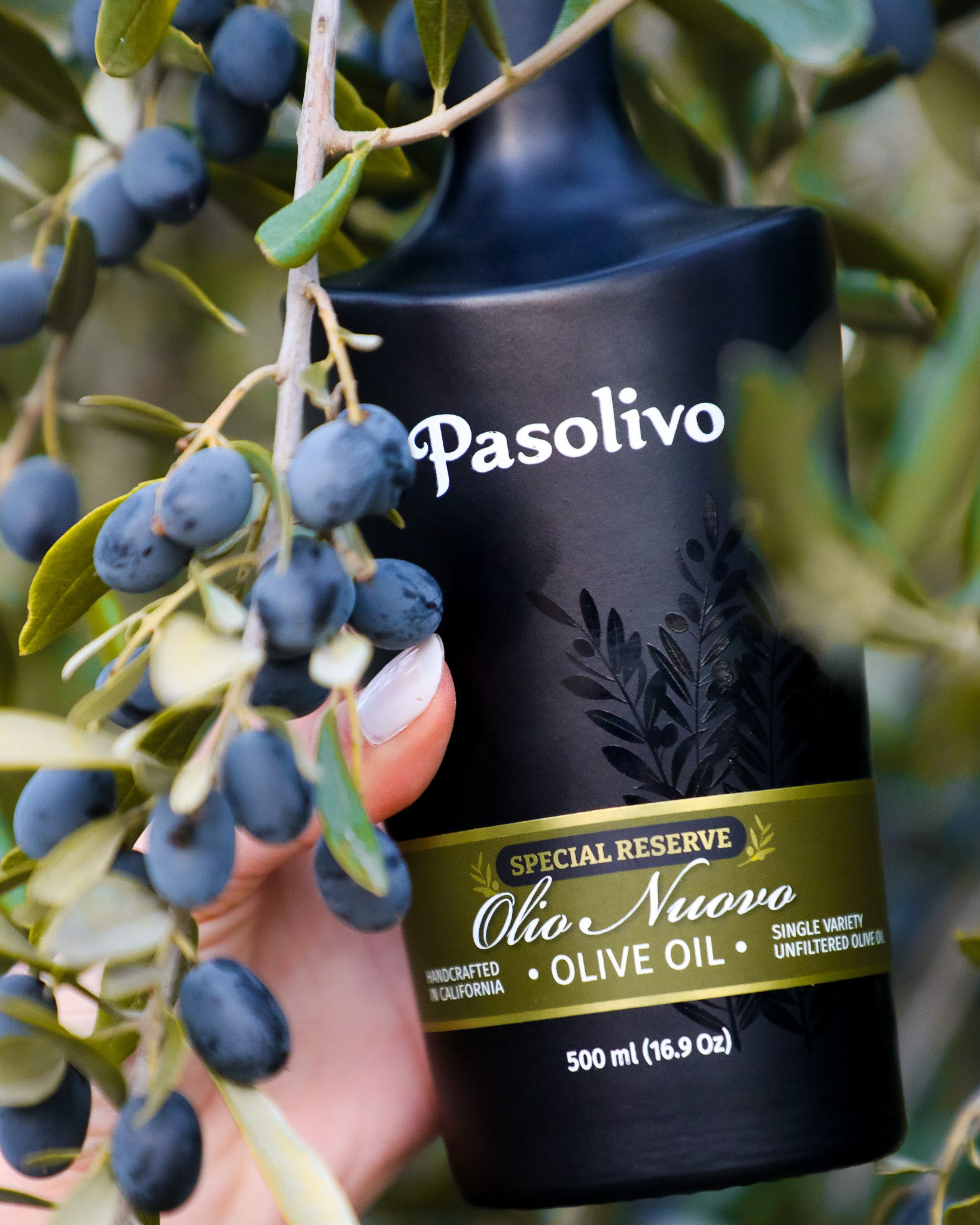 Olio Nuovo Extra Virgin Olive Oil