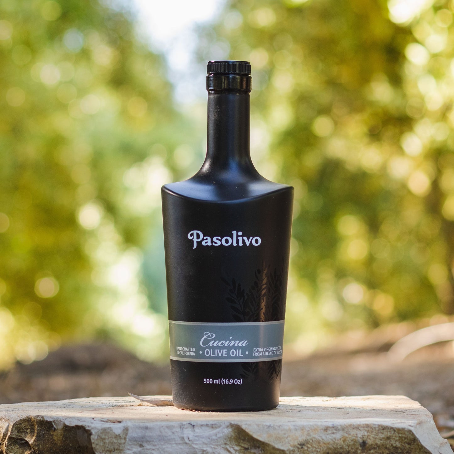 Bottle of Pasolivo Cucina extra virgin olive oil on a stone surface with a blurred natural background