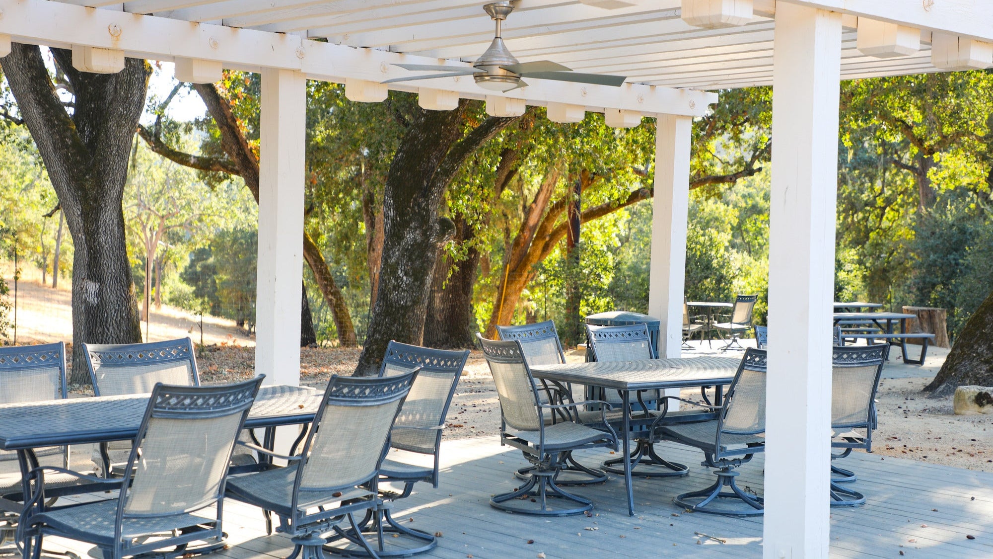 Outdoor patio with tables and chairs under a white pergola, surrounded by trees.