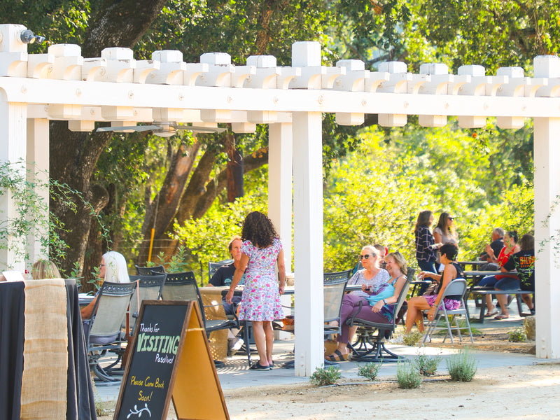 People sitting under a white pergola in a park-like setting with trees and greenery.